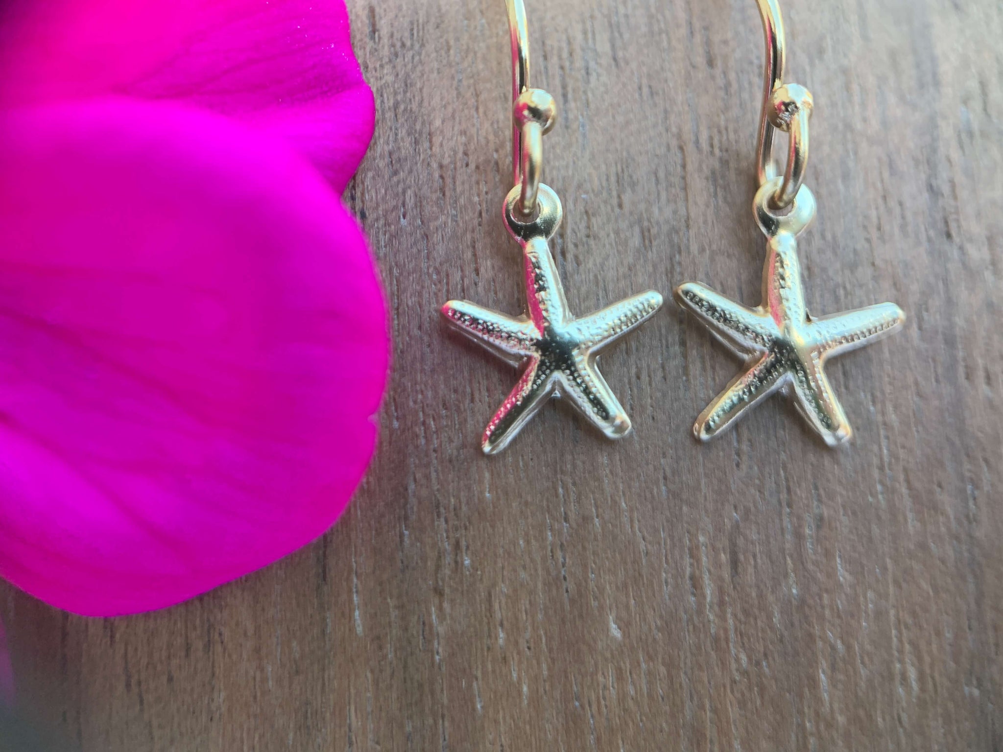 14kt Gold Filled Starfish, Heart or Dolphin Hook Earrings